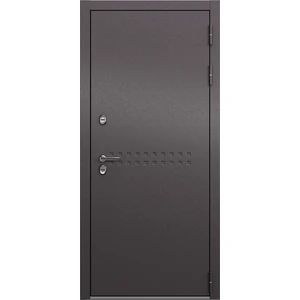 Входные двери DOORS TS